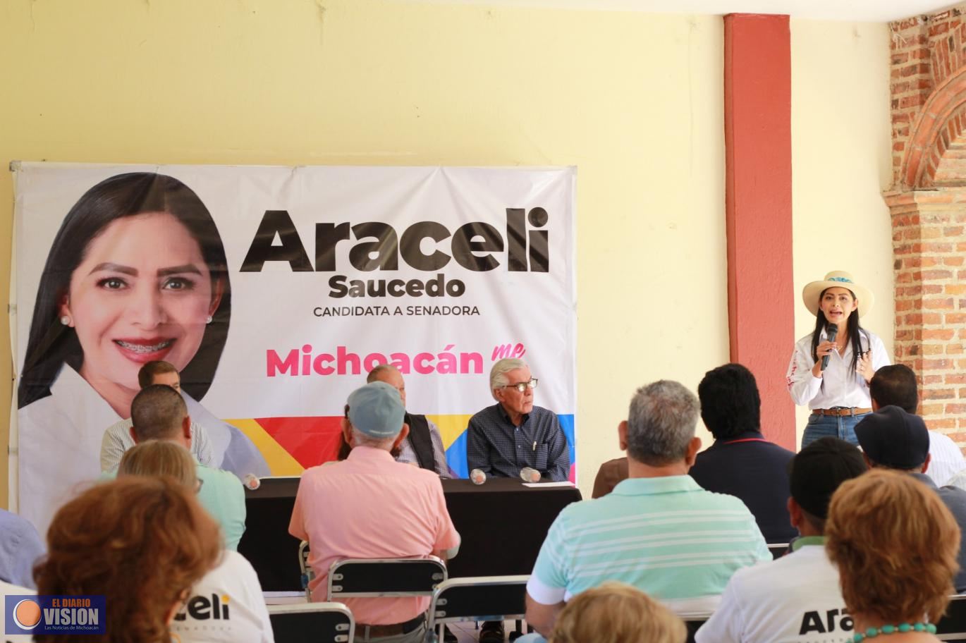 En Michoacán, ya se respira el futuro de paz y desarrollo que está por llegar: Araceli Saucedo