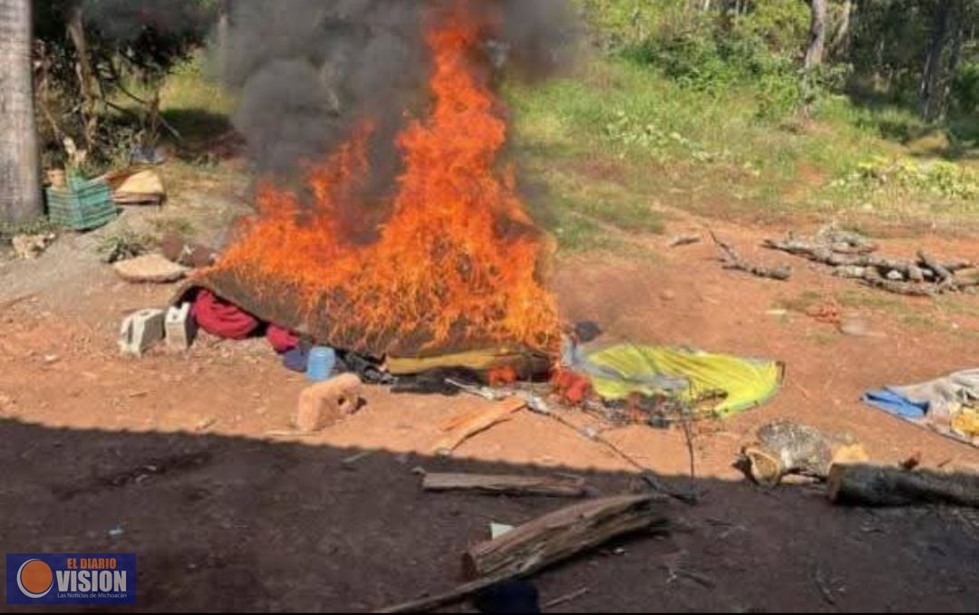 Destruyen campamentos clandestinos de la delincuencia 