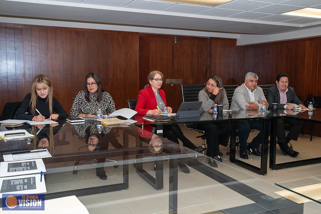 Avanza Poder Judicial de Michoacán en la construcción del Modelo de Gestión del nuevo CNPCyF