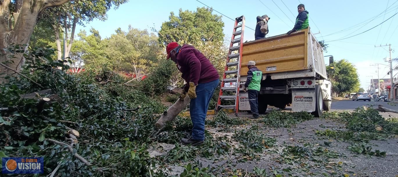 Refuerza Servicios Públicos  seguridad y entorno urbano con poda de árboles en Calzada La Huerta