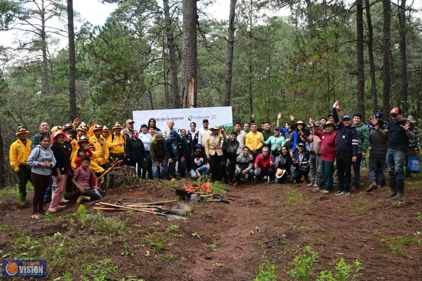 Gobierno de Morelia fortalece la recuperación de los bosques con jornada de reforestación