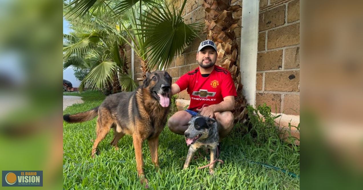Necesario promover el bienestar animal y su tenencia responsable: Octavio Ocampo