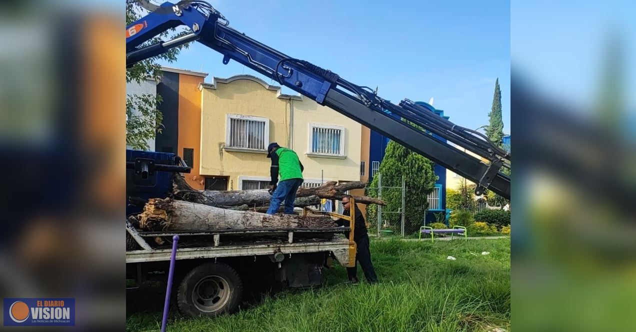 Gobierno de Morelia intensifica labores de limpieza de áreas verdes en distintos puntos de la ciudad