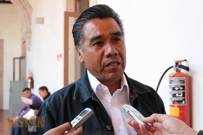 En Michoacán hay más de 270 expedientes de desapariciones forzadas:Eleazar Aparicio 