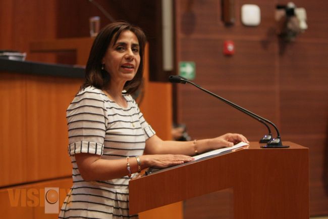 Solicita Luisa María Calderón a la Federación apoyo especial para Michoacán