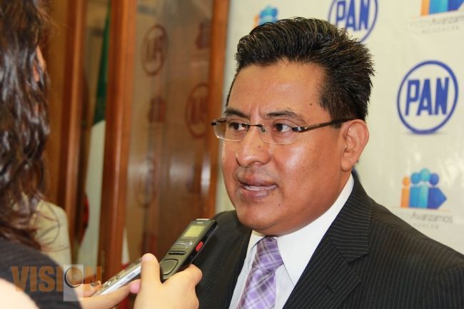 Tierra Caliente no aguanta más, se requieren acciones firmes y contundentes de la Federación: PAN