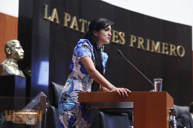 Iris Mendoza regresa al Senado de la República