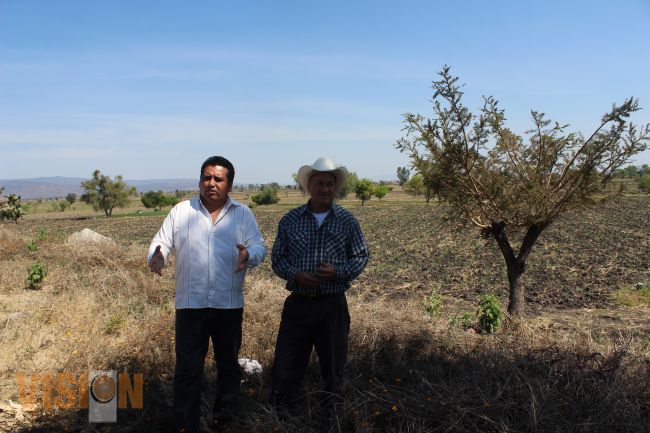 Michoacán ha perdido más de la mitad de sus bosques: Erik Juárez Blanquet.