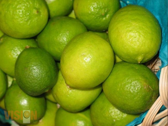 Productores Michoacanos bajan precio del limón.