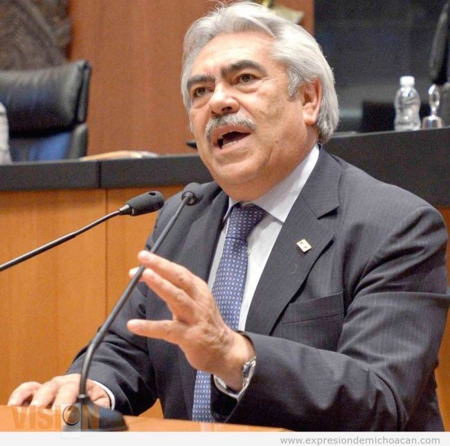 El Gobernador de Michoacán deberá atender los problemas de Michoacán: Ascensión Orihuela.