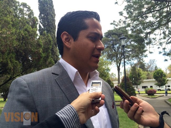 Michoacán carece de programas y acciones a favor de las mujeres: Movimiento Ciudadano