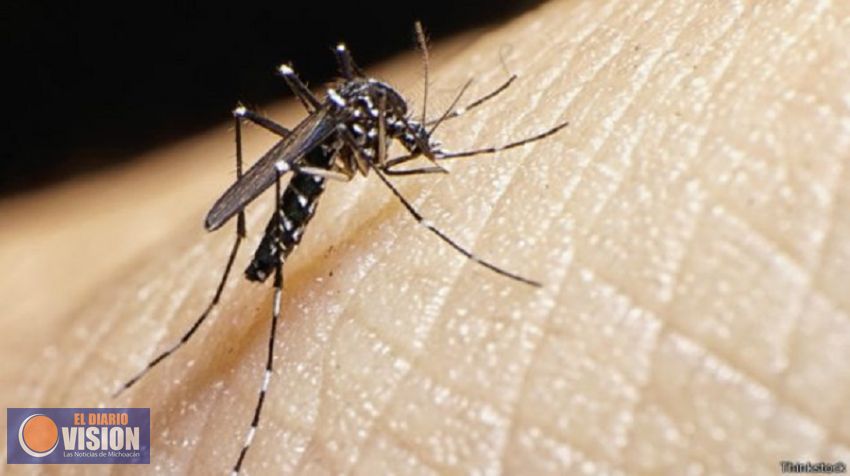 Alertan de fiebre, conjuntivitis y dolor muscular, posibilidad de zika