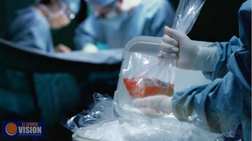 Donación de órganos y tejidos, esperanza de vida para pacientes enfermos 