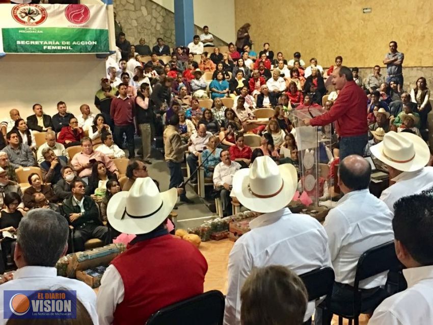 El PRI estatal trabaja para construir los triunfos 2018: Víctor Silva 