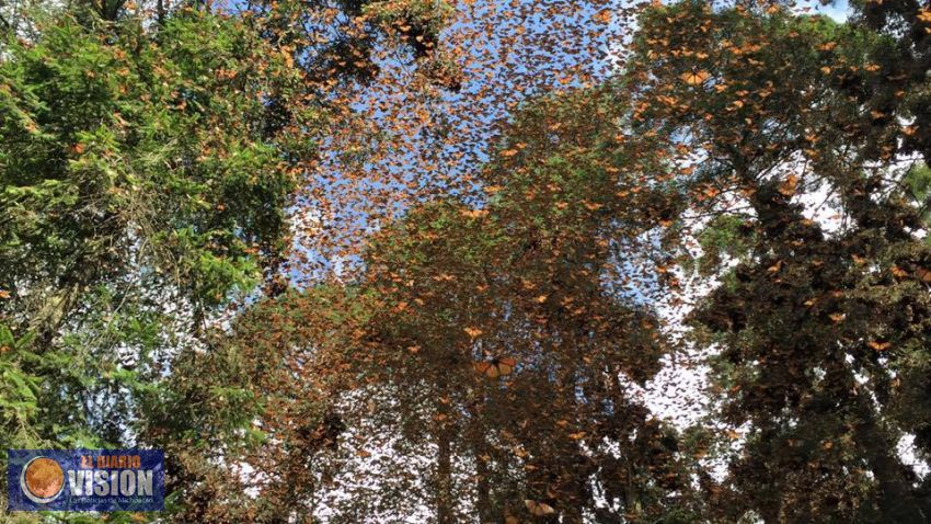 Aumenta la afluencia turística en el Ejido el Rosario
