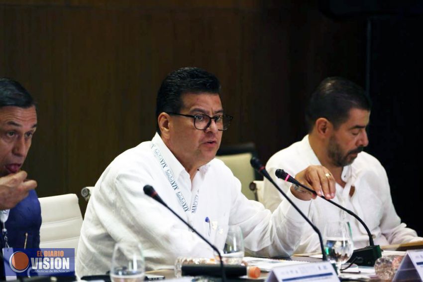 Presenta Michoacán avances en seguridad ante CNSSP