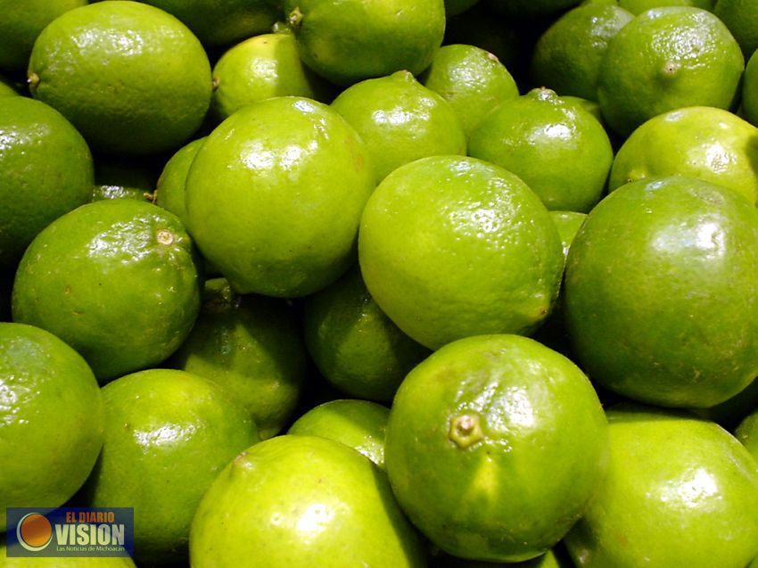 Lidera Michoacán producción de limón en el país: Sedrua