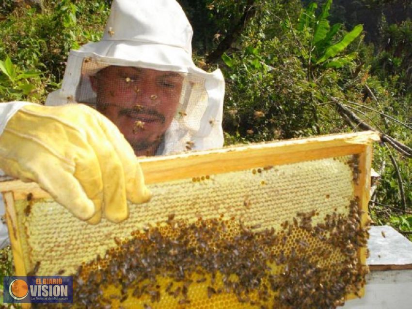 A Europa, 60 por ciento de la miel michoacana: Sedrua
