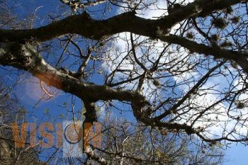 Trabajo a favor de la conservación de la Biodiversidad: SUMA