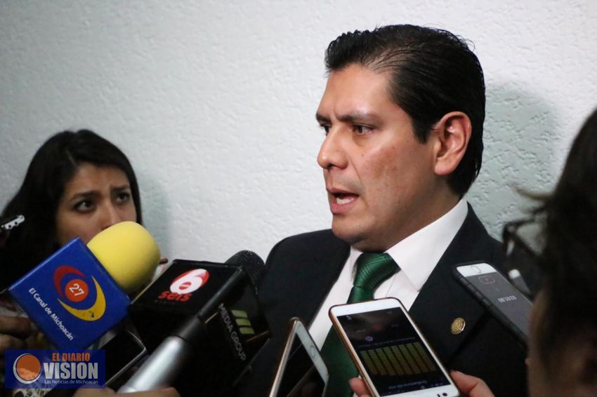 Existen alternativas biodegradables para sustituir bolsas y popotes de plástico, en Michoacán: ENA