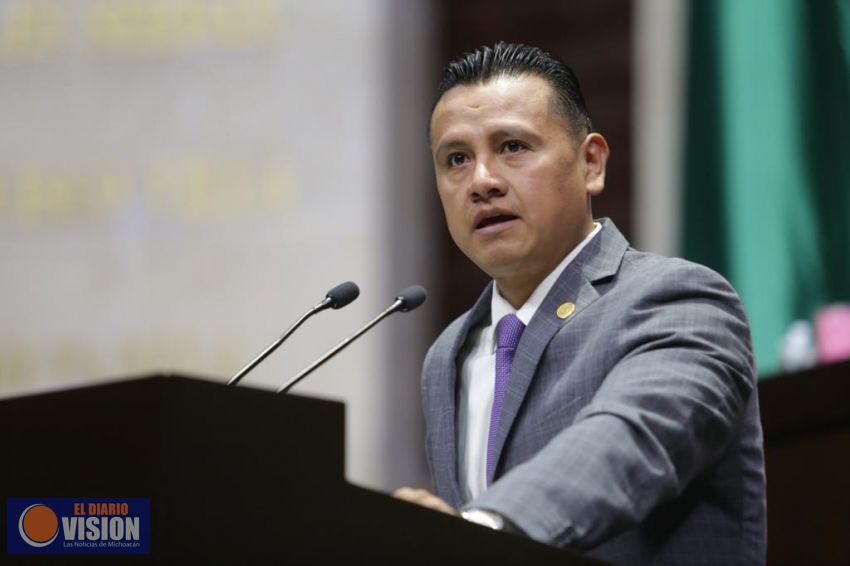 Ante la emergencia, partidos deben renunciar a la mitad de su financiamiento: Torres Piña