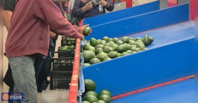 Cimbra economía de Michoacán, reciente suspensión temporal