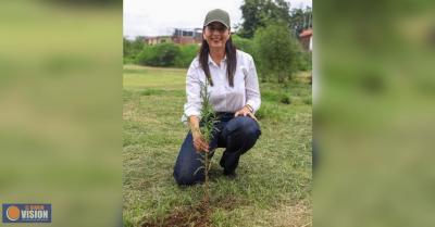 Reforestar Michoacán, es sembrar vida y futuro: Gaby Molina