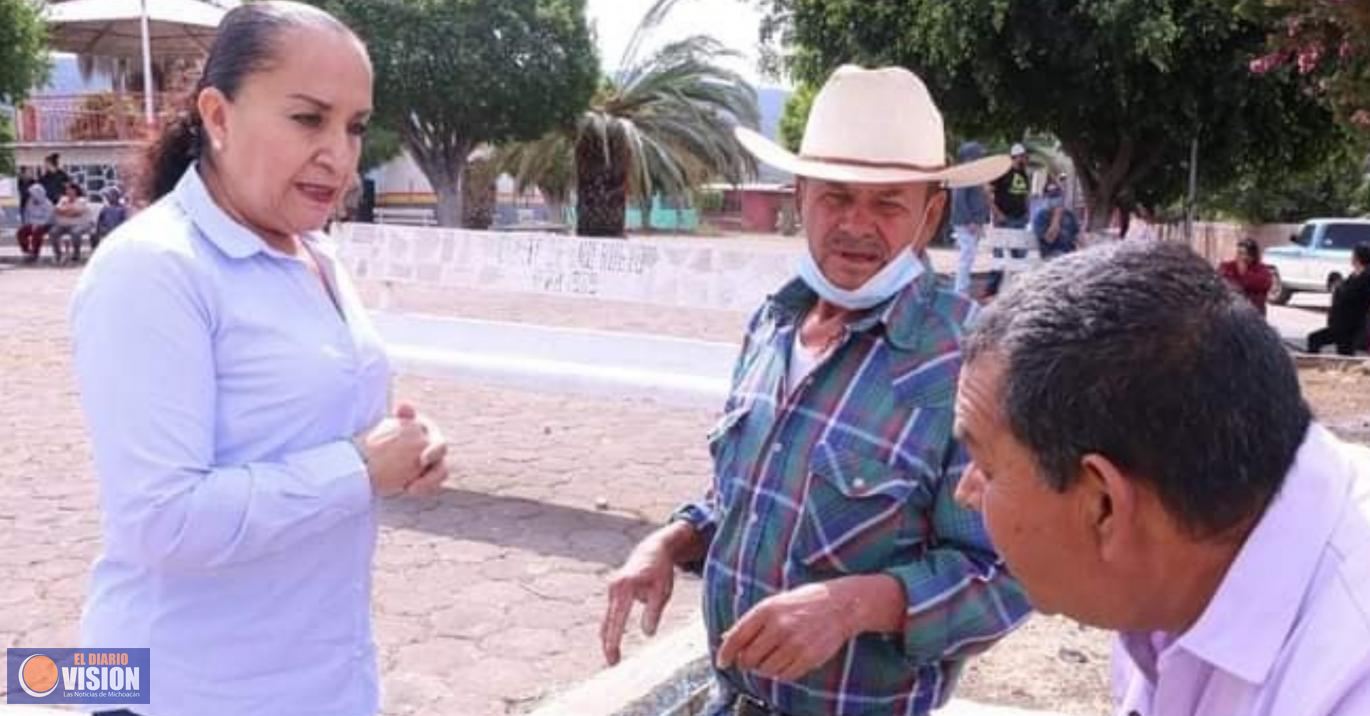 Producción de resina en Michoacán continúa en riesgo: Julieta Gallardo