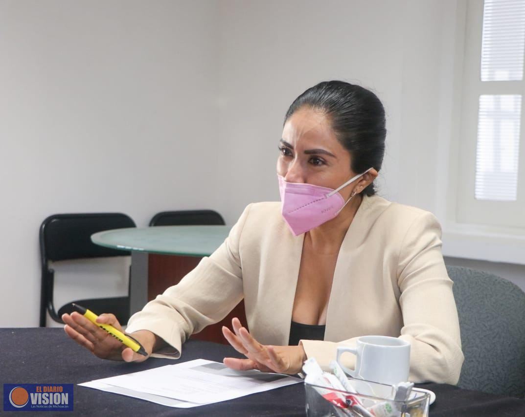 Urge que en Michoacán se amplíen los plazos de descuentos en reemplacamiento: Fanny Arreola