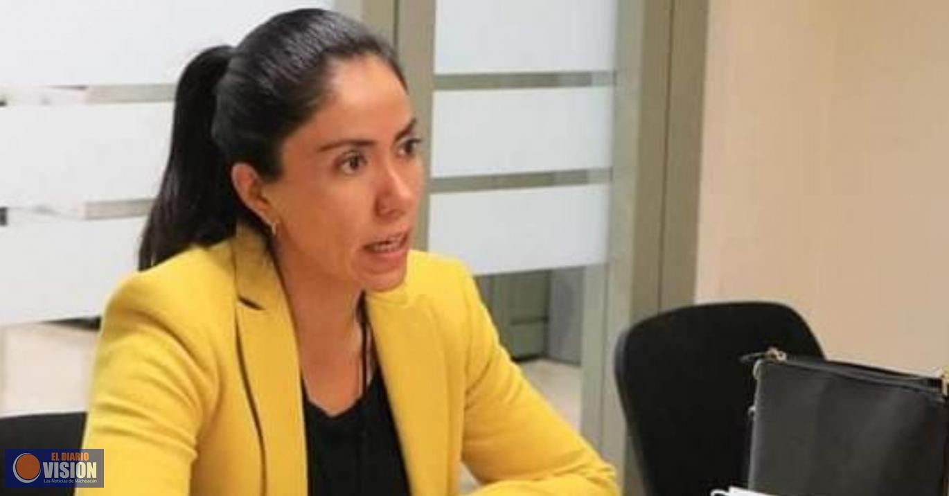 México debe continuar la apuesta por inversión pública al sector salud: Fanny Arreola