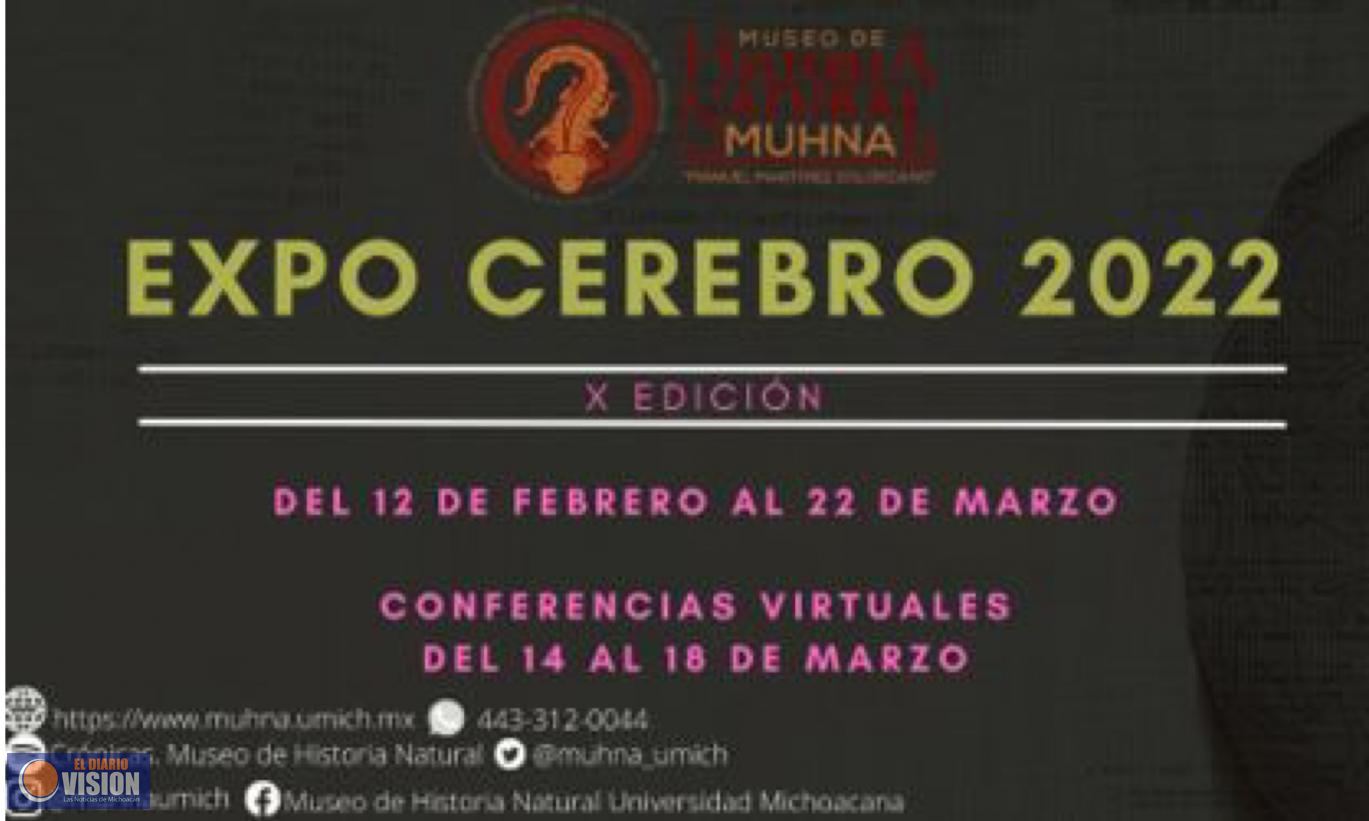 UMSNH realizará semana internacional del cerebro   