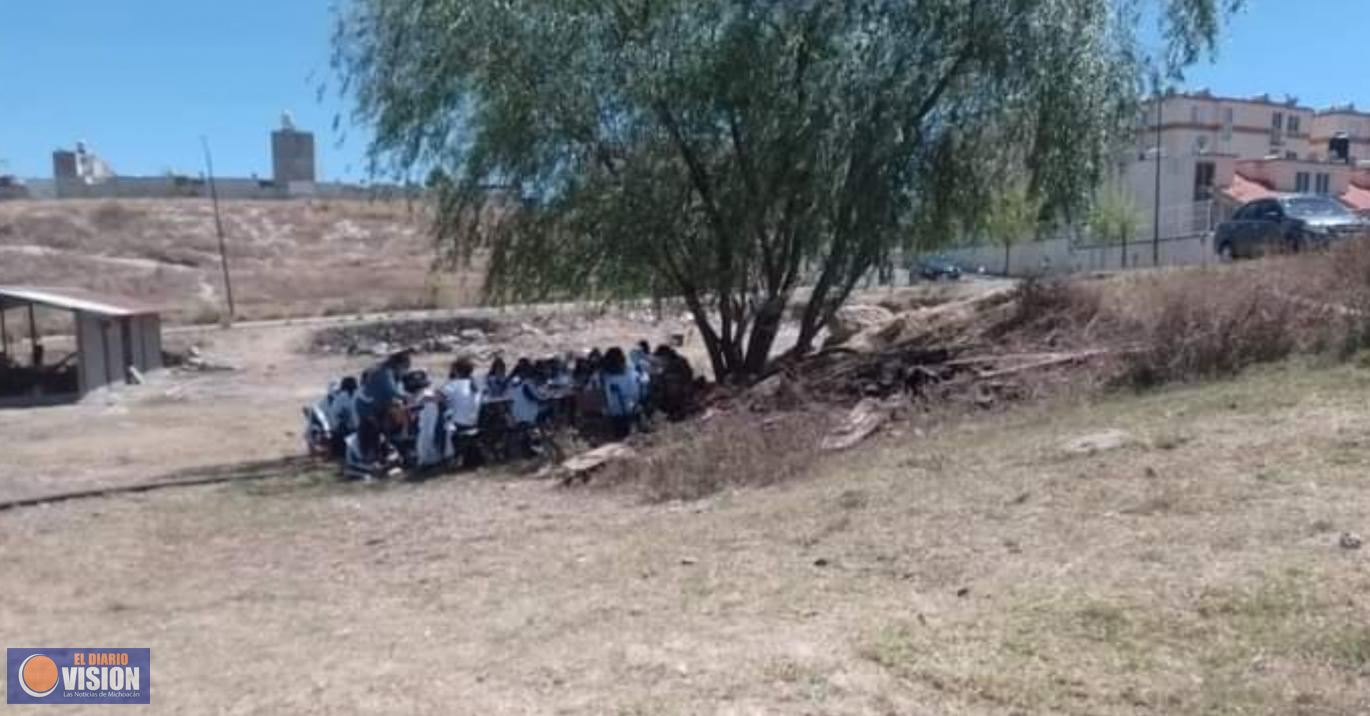 Escuela bajo la sombra de un árbol, en la capital michoacana 