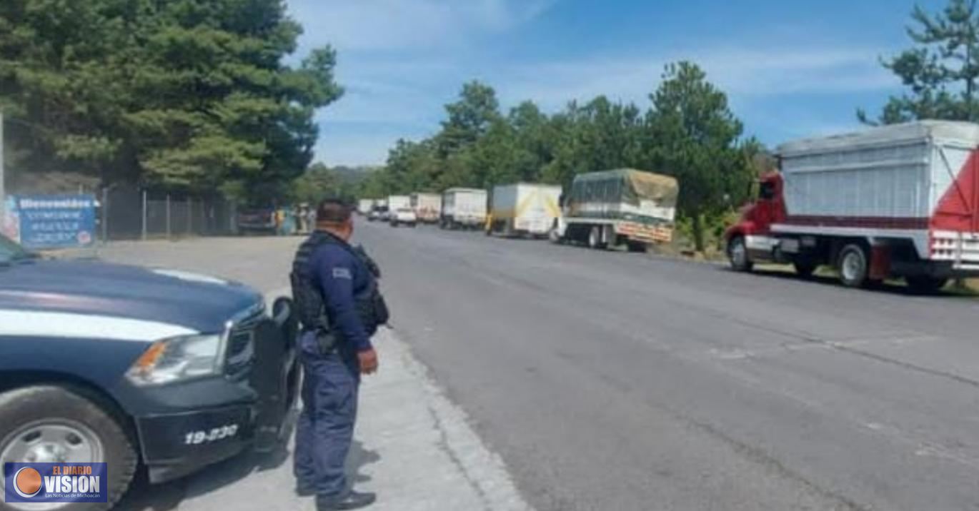 Decenas de camiones que transportan aguacate, son custodiados por fuerzas policiacas