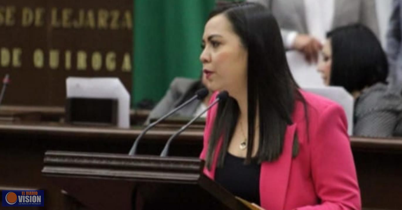 Necesario mejorar la transparencia en el Congreso Local : diputada Liz Hernández