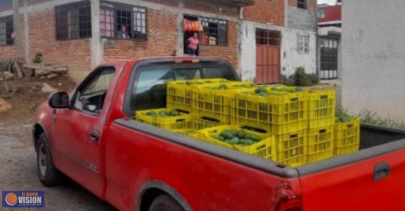 SSP decomisa cargamento de aguacate presuntamente ilícito, en Uruapan