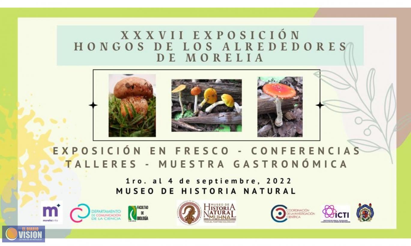 Este jueves inauguran exposición sobre hongos de Morelia