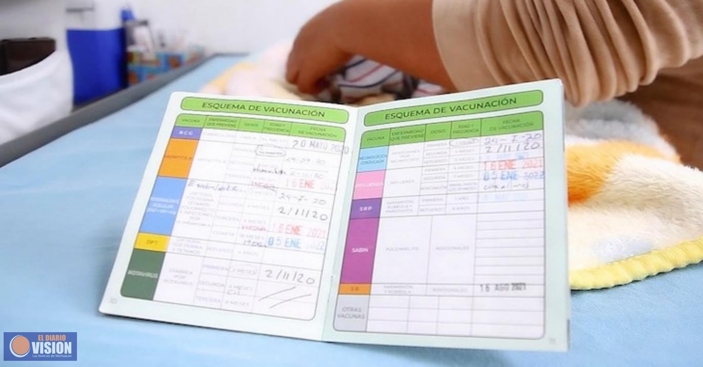 Cartilla de vacunación gratuita en centros de salud:SSM