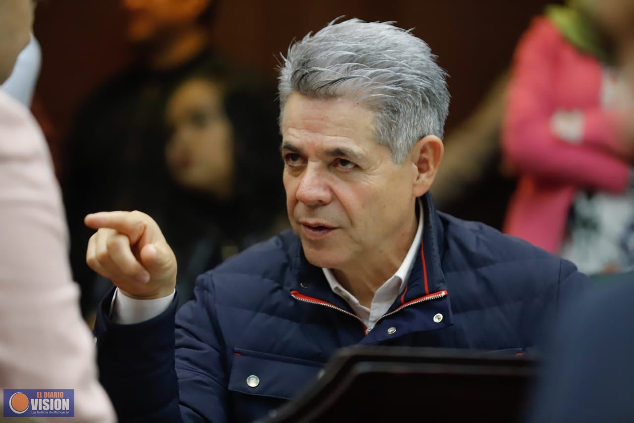 Votos en contra del plan B son muestra de que en el PRI hay más unión que nunca: Hernández Peña