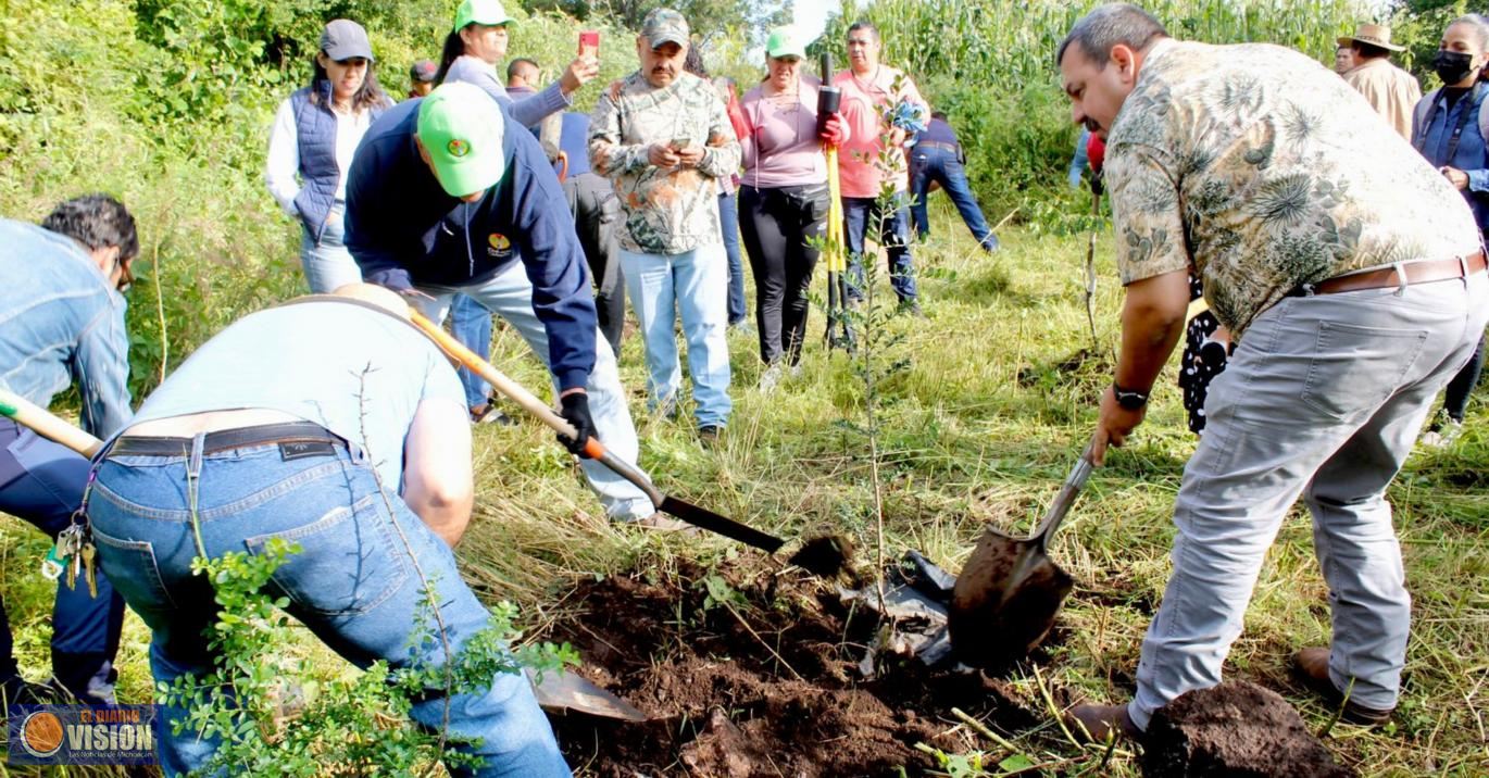 Gobierno de Michoacán prepara certificación ambiental para cultivo de aguacate