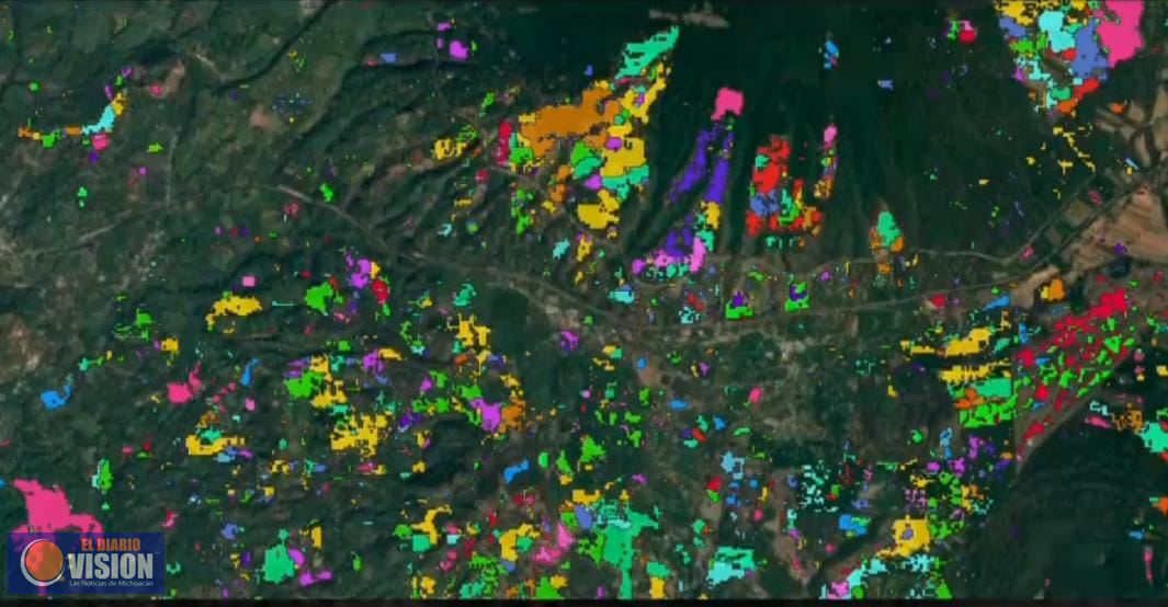 Impulsa Bedolla sistema de vigilancia satelital para la protección de hectáreas verdes