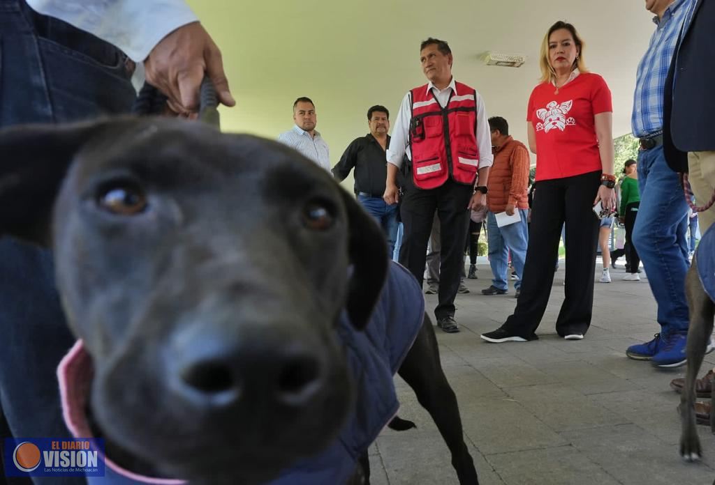 UMSNH adopta caninos para fortalecer la vigilancia en Ciudad Universitaria