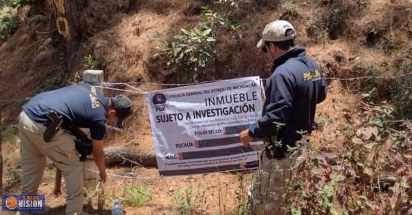 En cateo, asegura FGE predio relacionado en delitos contra el ambiente