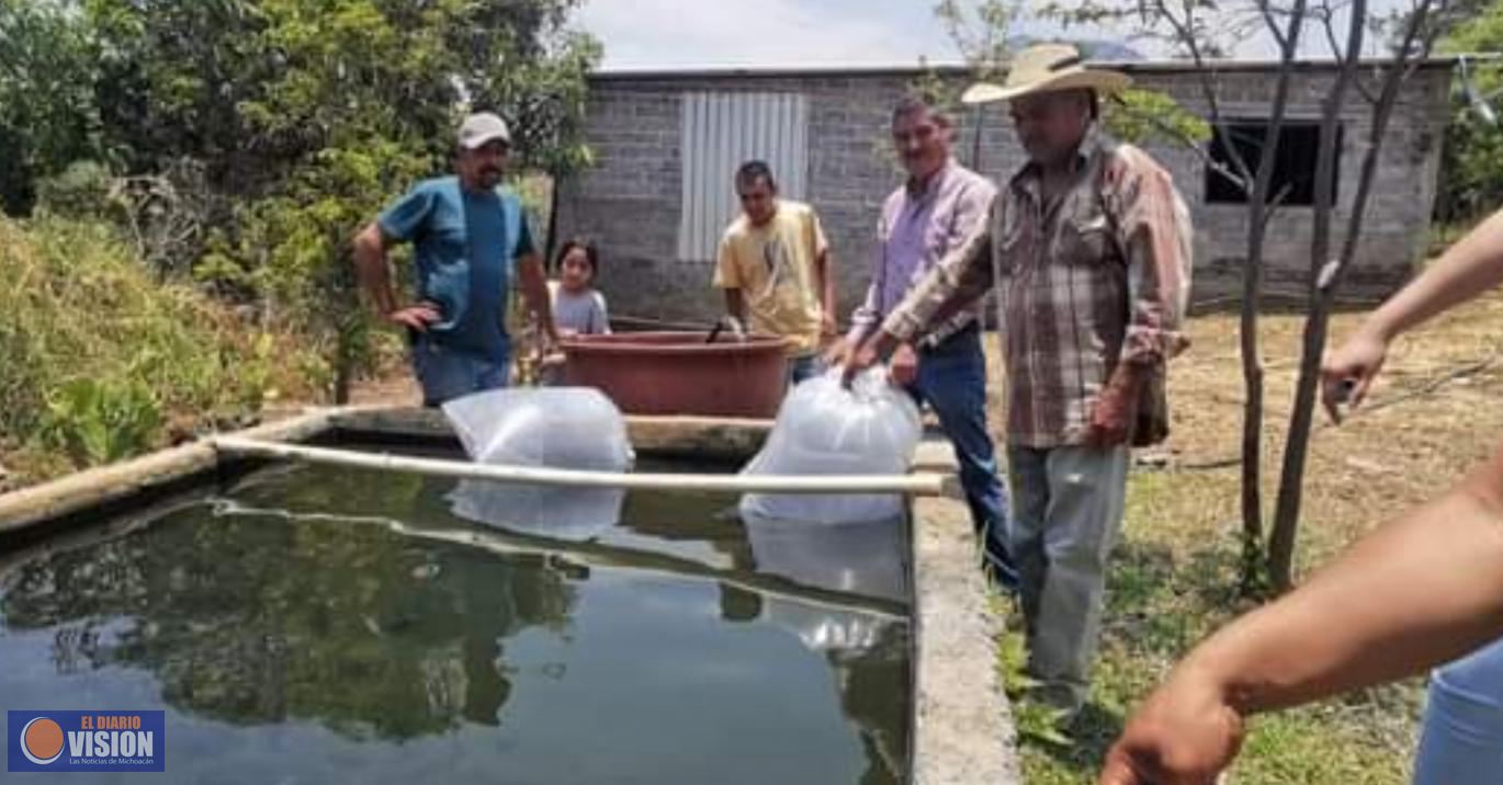 Entrega Compesca, 16 mil crías a productores acuícolas