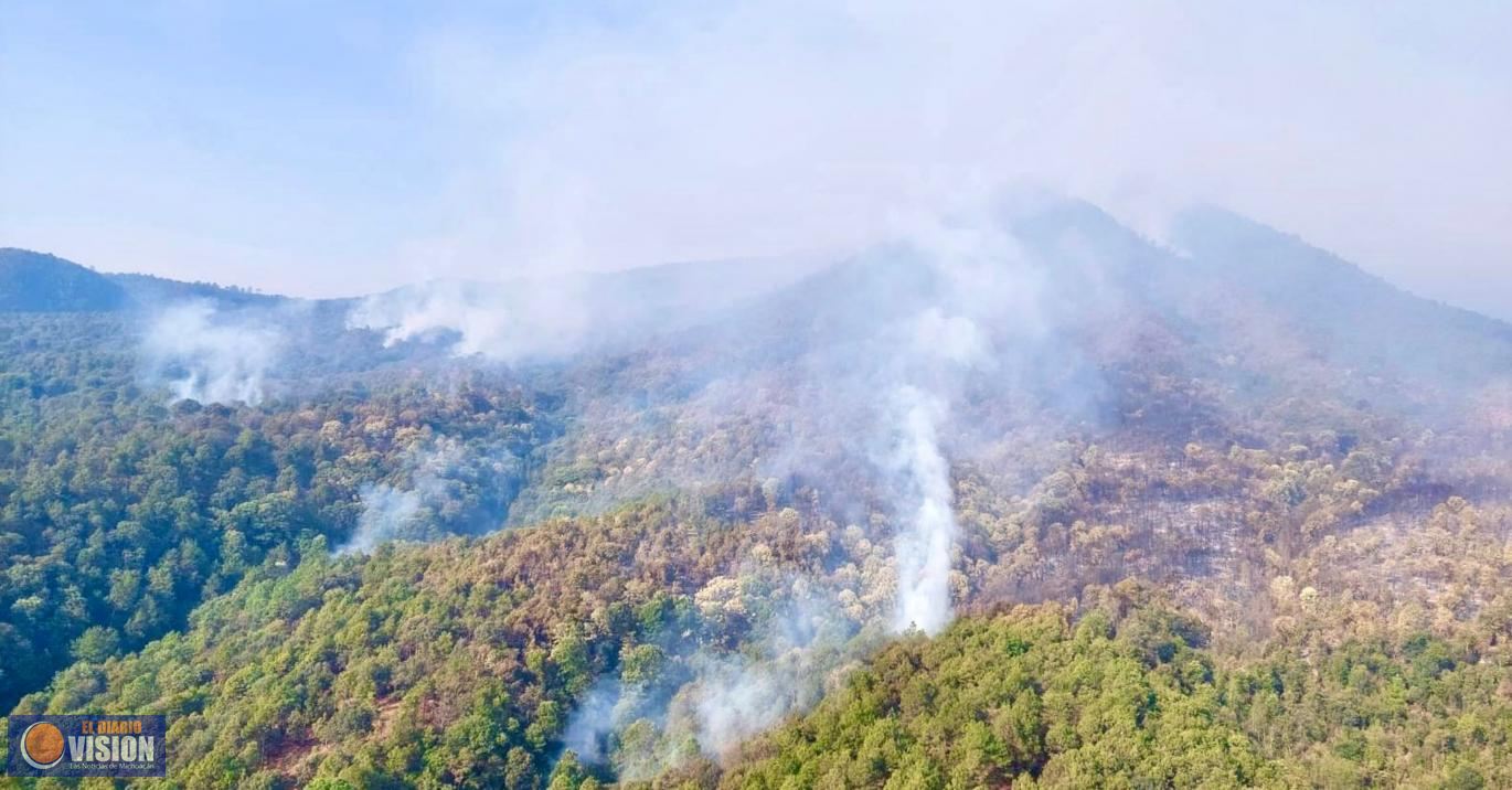 Más de 400 brigadistas combaten incendio forestal en cerro Grande