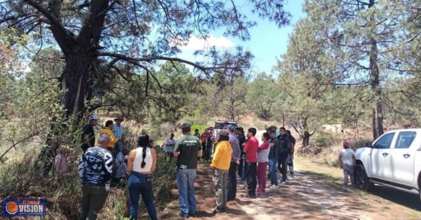 Guardia Civil, asegura 14 mil plantas de mariguana