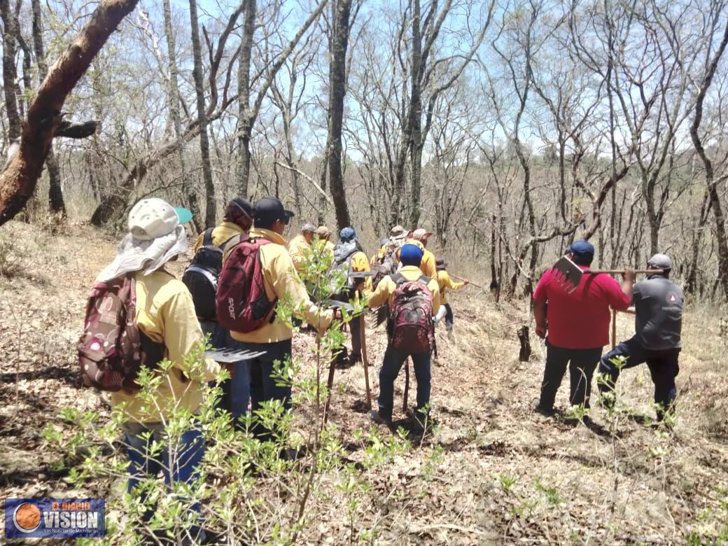 Incendio forestal en Villa Jiménez, controlado al 100% con ayuda de helicóptero: Cofom