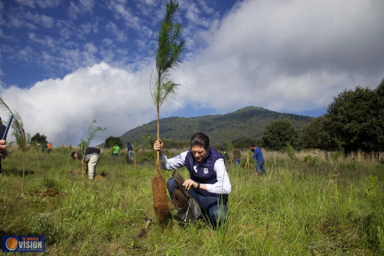 Morelia creará un vivero municipal para producir 1 millón de árboles