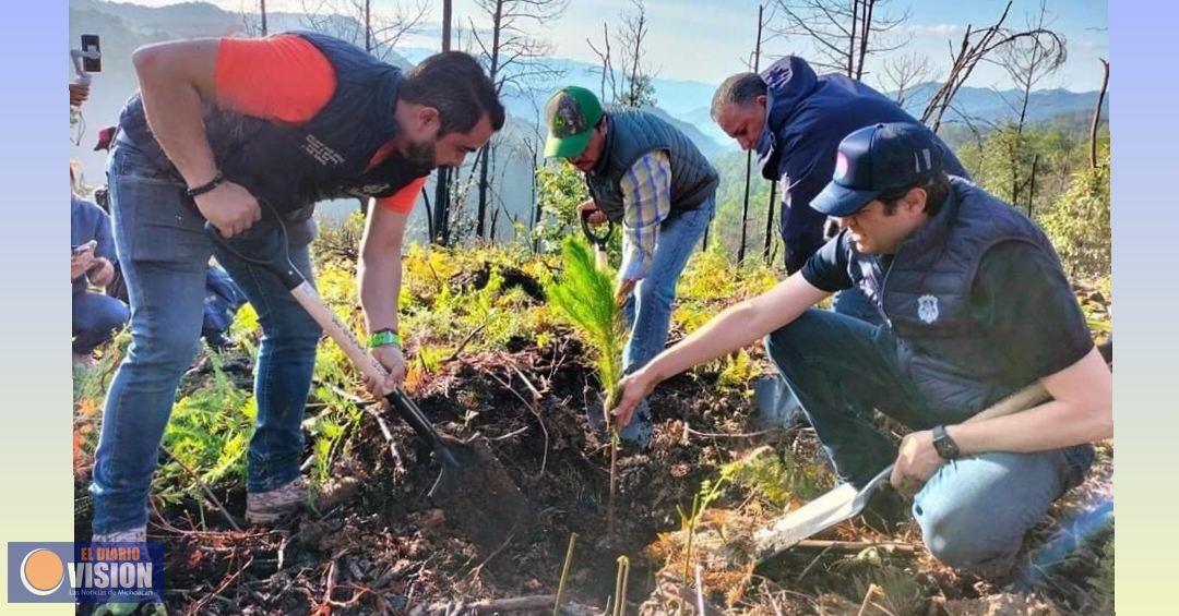 Va Morelia por la protección y rescate del zapote prieto, árbol endémico