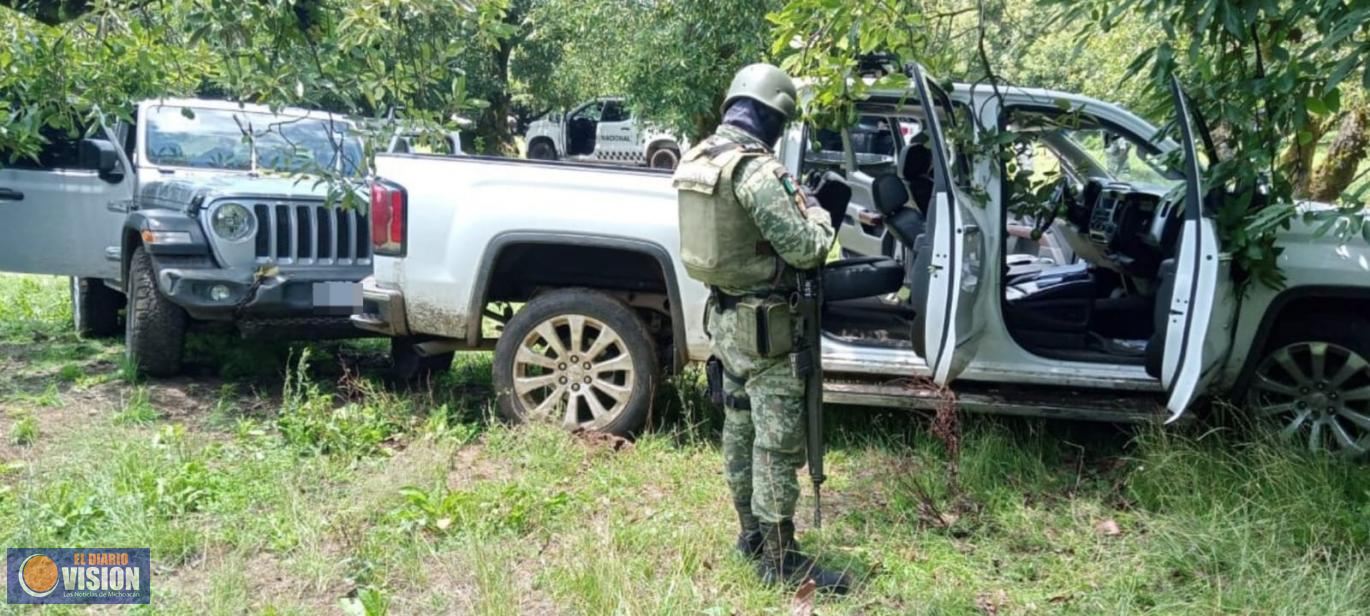 Un detenido, armamento y vehículos asegurados en acción operativa en La Basilia