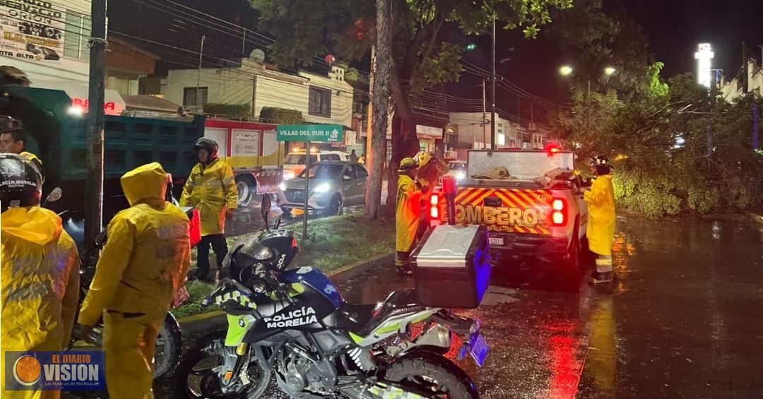 Saldo blanco tras fuertes ráfagas de viento del martes